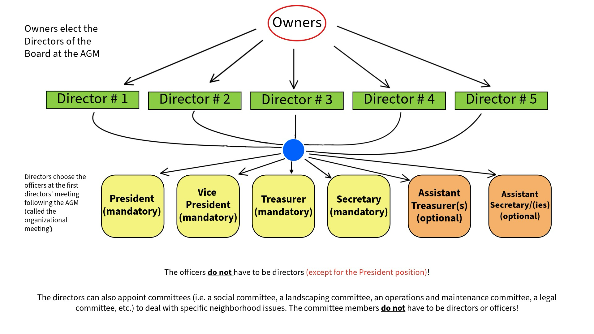 Cityside Governance Structure Diagram